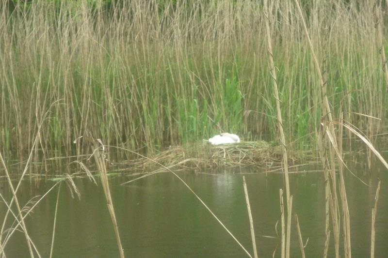 Leśna Sobota 22.05.2021r.